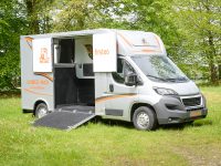 Theault Firsteo 3 Horsebox