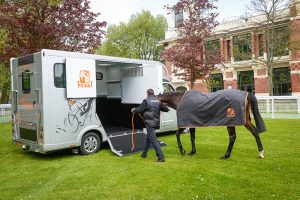 Horsebox Hire